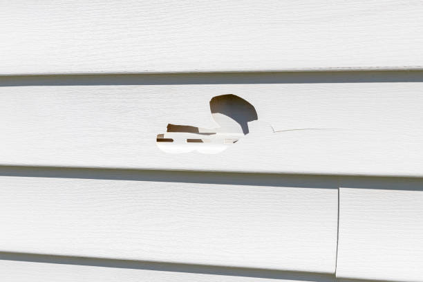 Best Custom Trim and Detailing for Siding  in Monona, IA